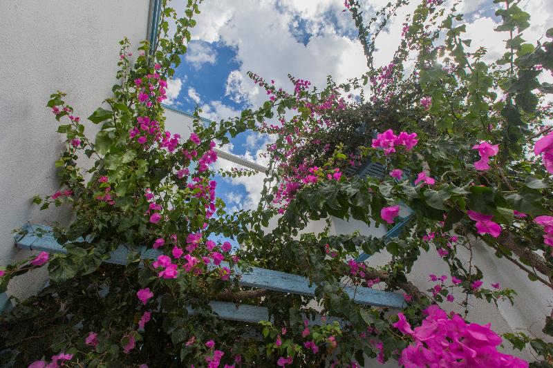 Hotel Preka Maria