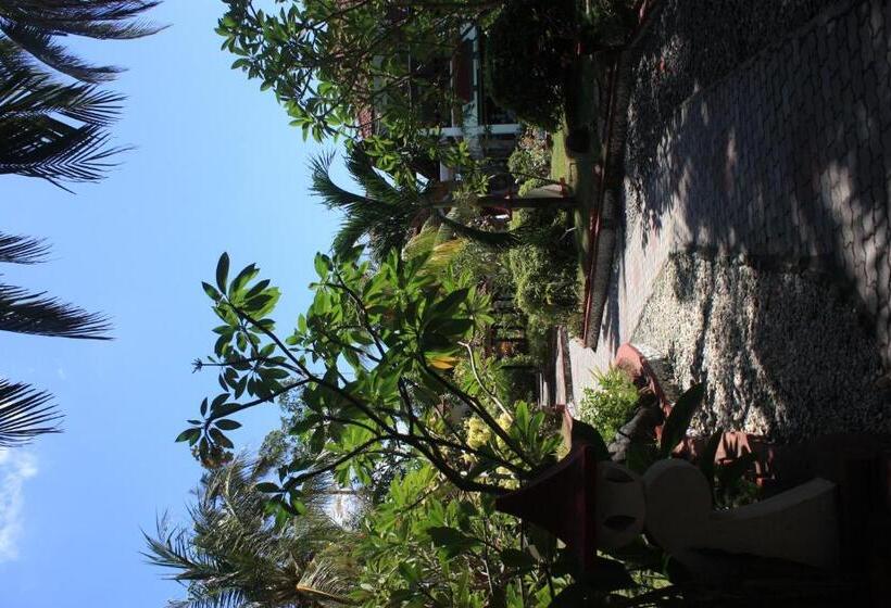 酒店 Puri Naga Beachfront Cottages