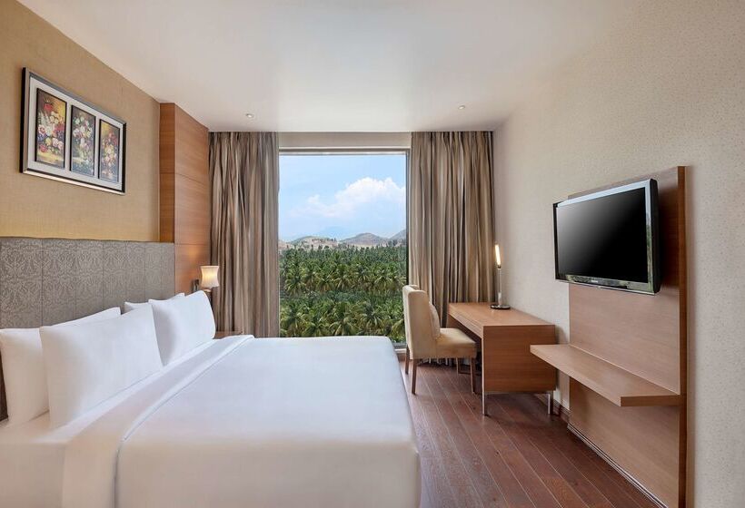 酒店 Radisson Salem