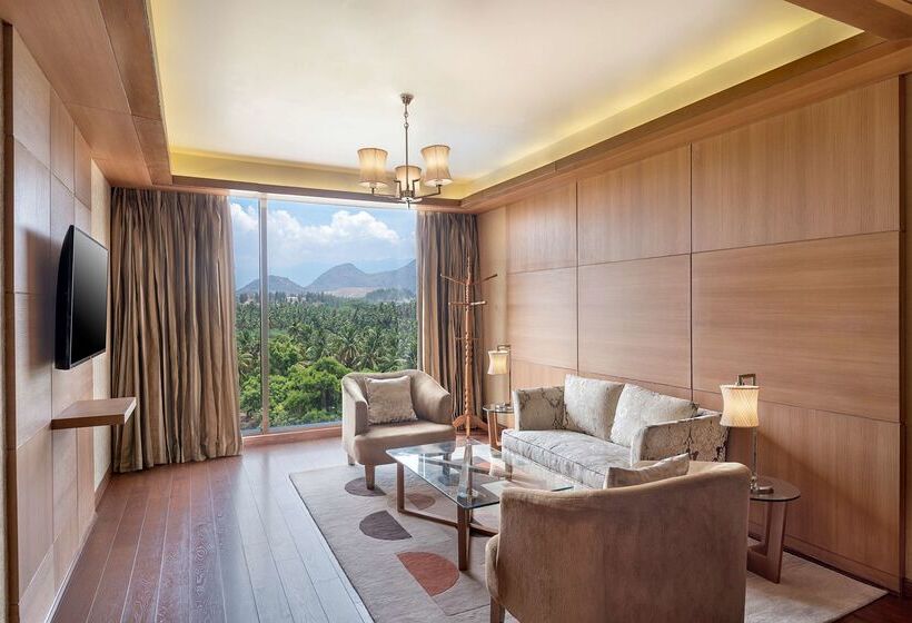 酒店 Radisson Salem