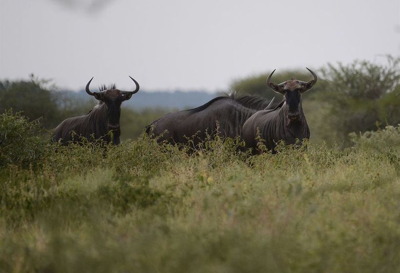 ホテル Thabankulu Game Resort