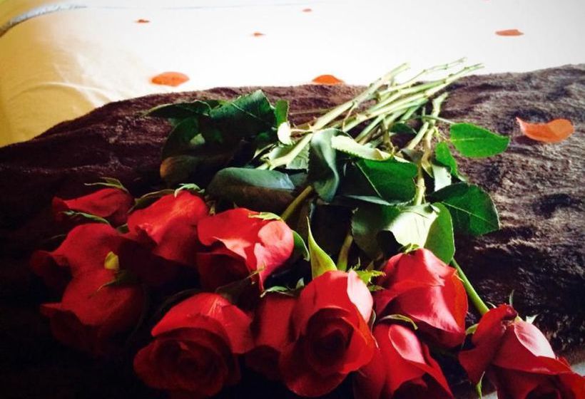 فندق Scholar Morgantown, Tapestry Collection By Hilton