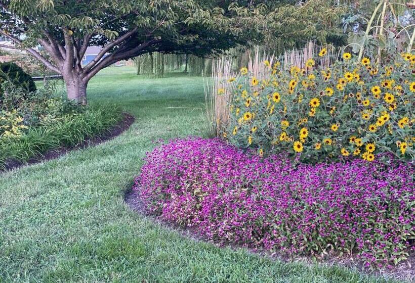 فندق The Tilghman Island Inn