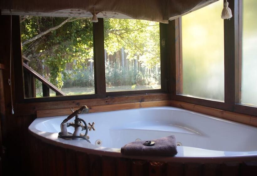 酒店 Tsitsikamma Lodge & Spa