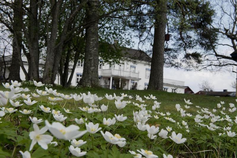 호텔 Ulvsby Herrgård