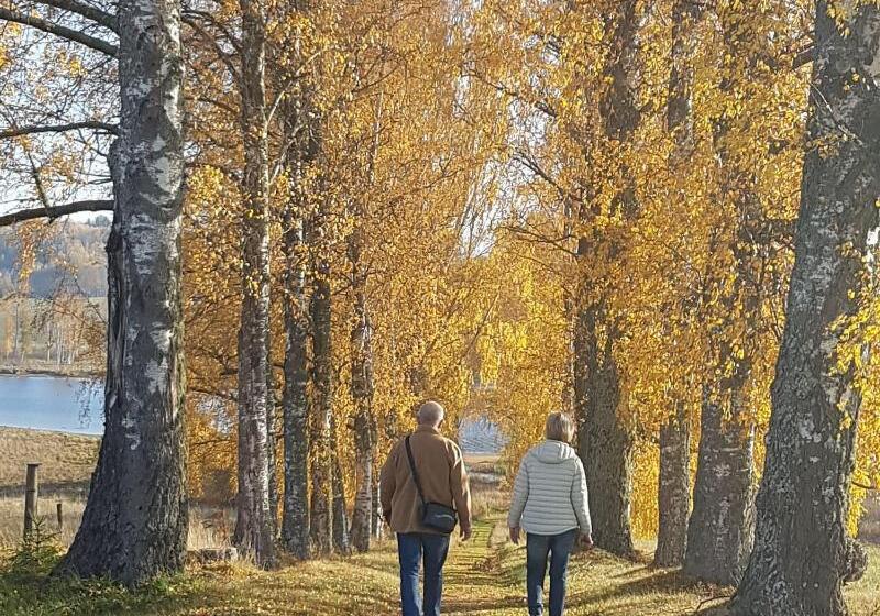 호텔 Ulvsby Herrgård