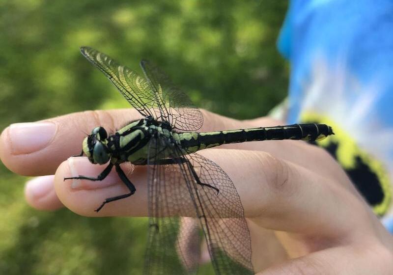 호텔 Ulvsby Herrgård