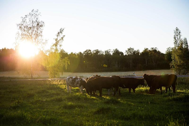 호텔 Ulvsby Herrgård