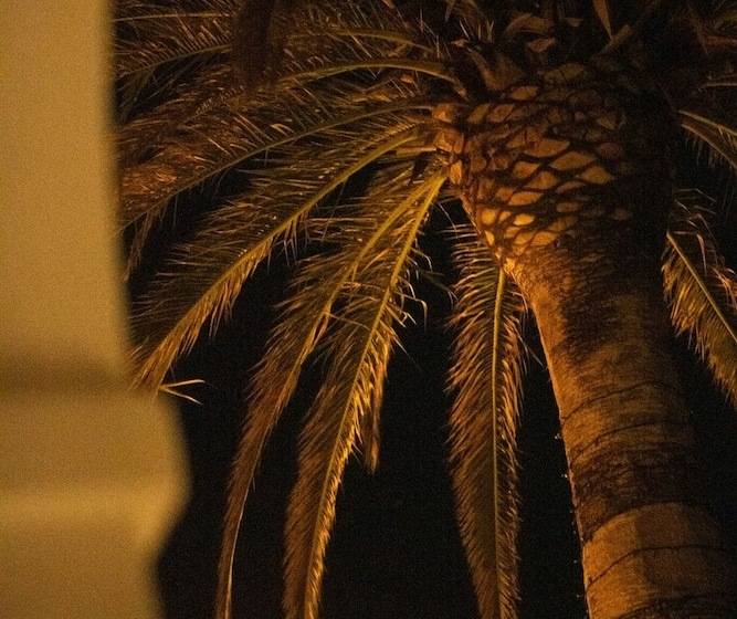 酒店 Villa Delle Palme