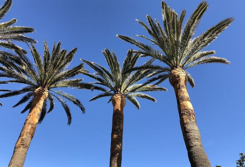 酒店 Villa Delle Palme