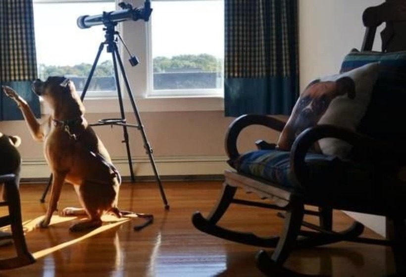 Josephine S Bed & Breakfast