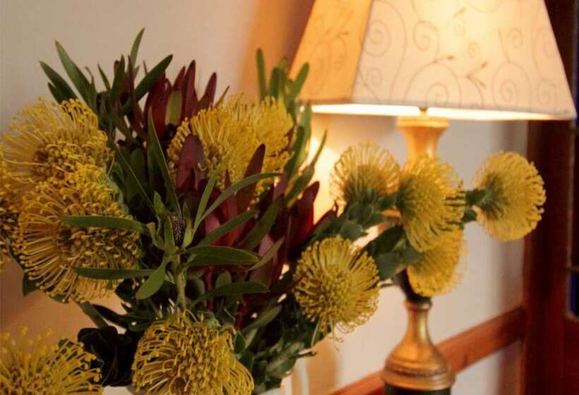 Leeuwenbosch Country House   Amakhala Game Reserve