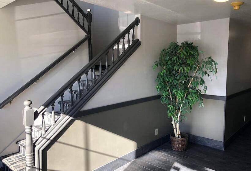 מוטל Ameri Stay Inn & Suites