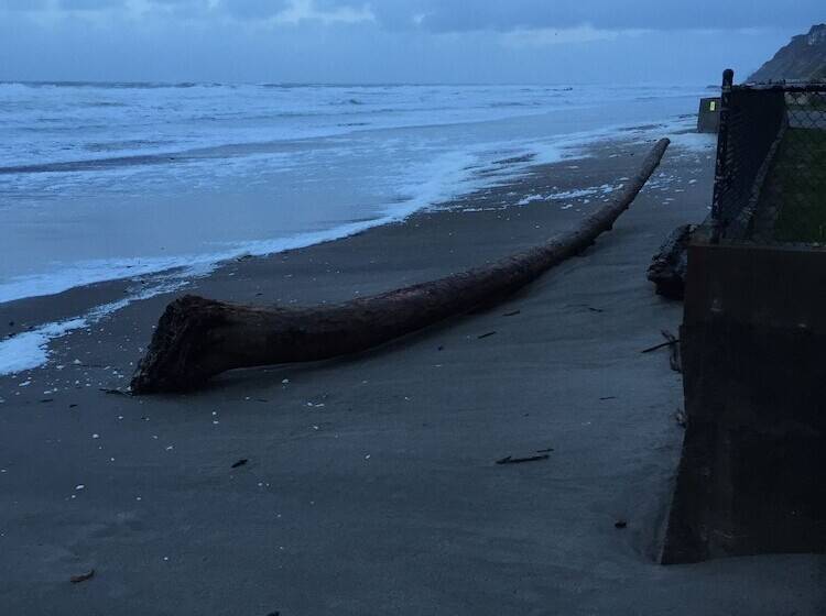 Мотель Sandcastle Beachfront