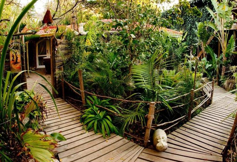 膳宿费 Bamboo, The Guesthouse