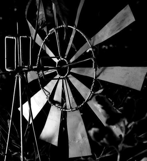 膳宿费 Bamboo, The Guesthouse