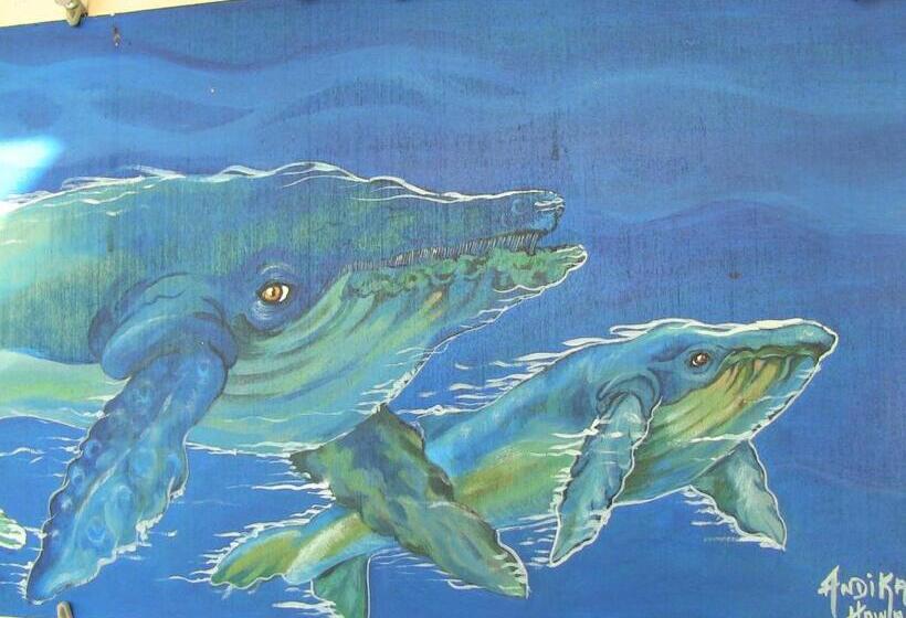 膳宿费 Kona Hawaii Guest House A Unique Hawaii Experience