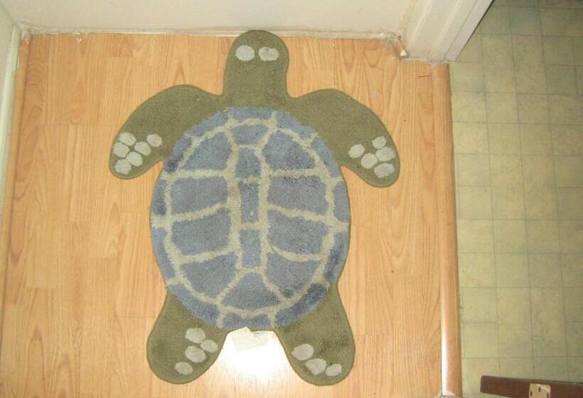 膳宿费 Kona Hawaii Guest House A Unique Hawaii Experience