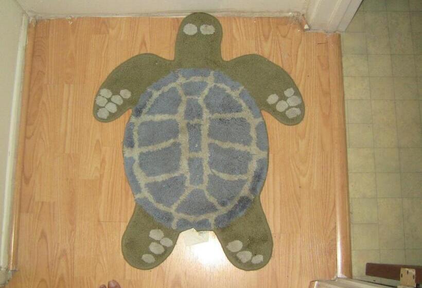 膳宿费 Kona Hawaii Guest House A Unique Hawaii Experience