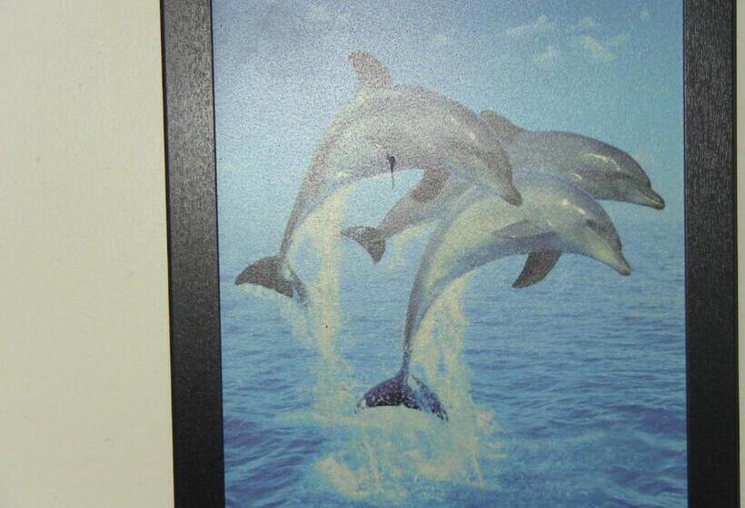 膳宿费 Kona Hawaii Guest House A Unique Hawaii Experience