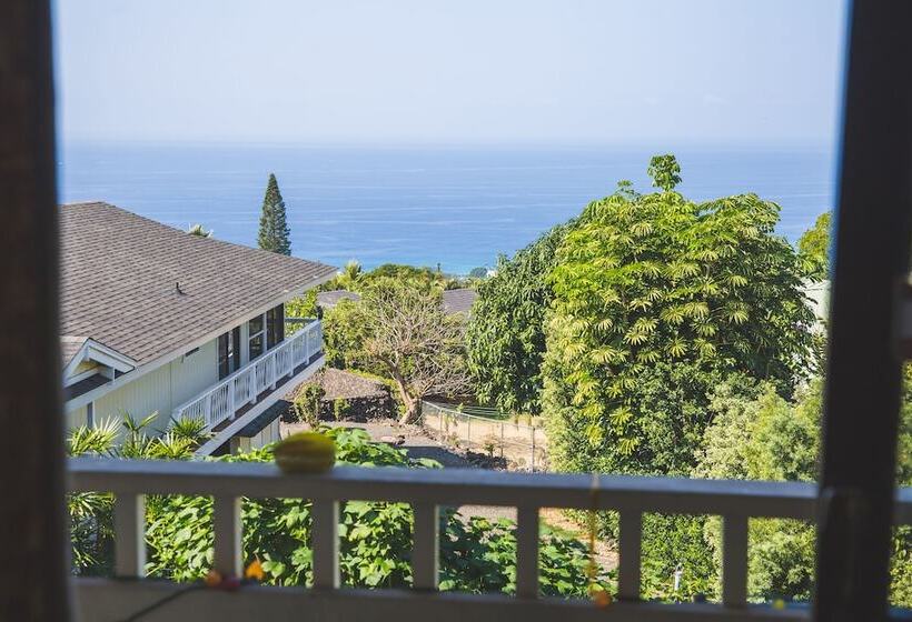 膳宿费 Kona Hawaii Guest House A Unique Hawaii Experience