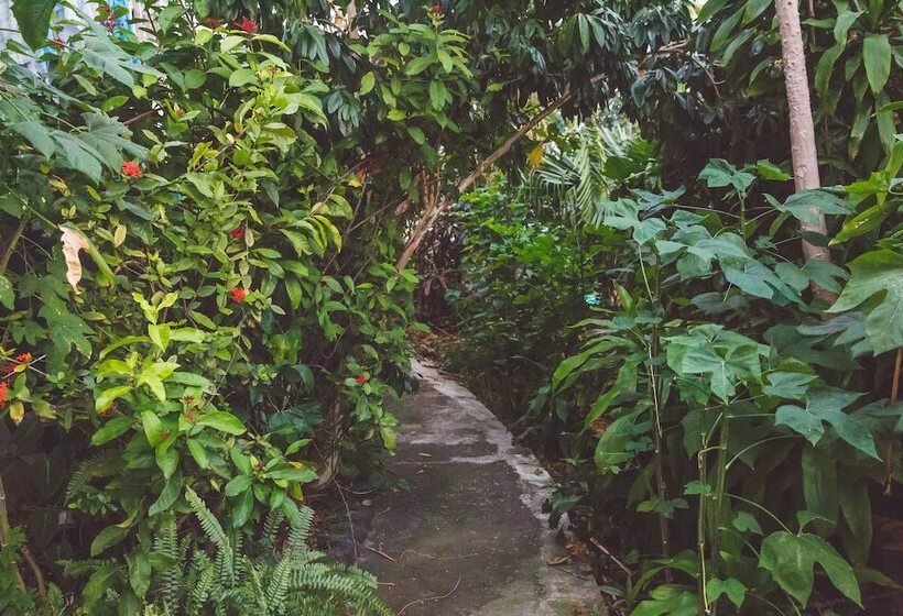 膳宿费 Kona Hawaii Guest House A Unique Hawaii Experience