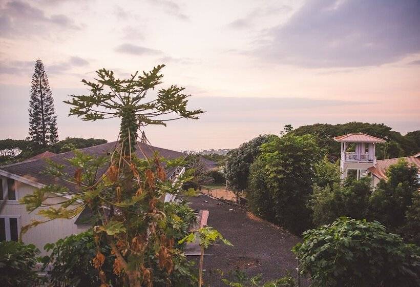 膳宿费 Kona Hawaii Guest House A Unique Hawaii Experience