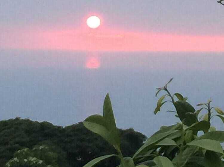 膳宿费 Kona Hawaii Guest House A Unique Hawaii Experience