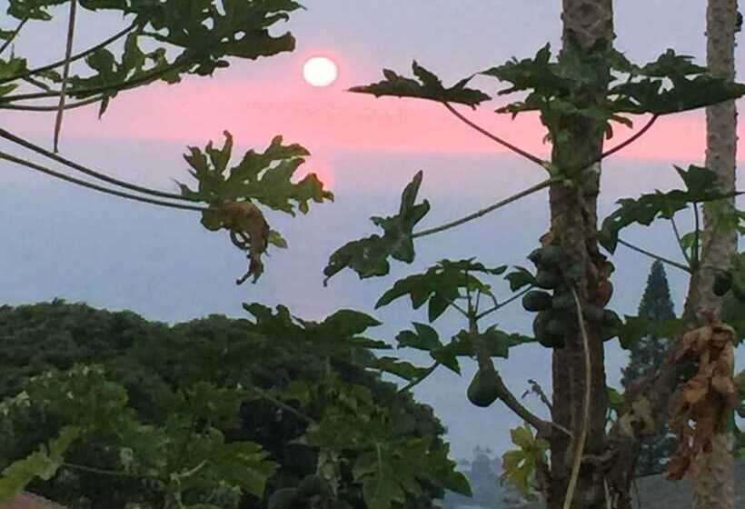 膳宿费 Kona Hawaii Guest House A Unique Hawaii Experience