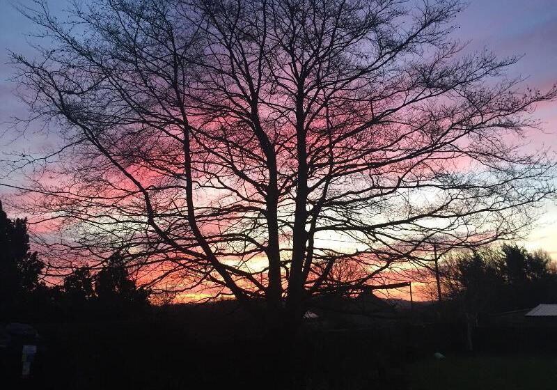 פנסיון The Lighthouse