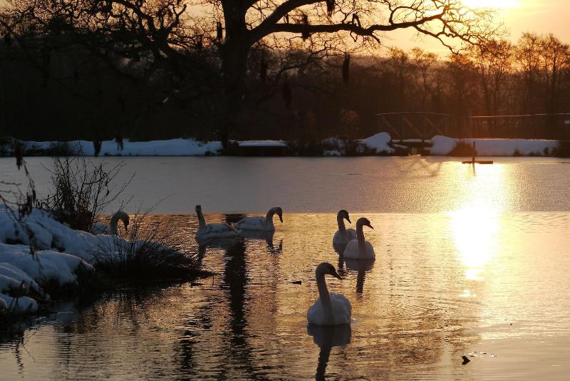 פנסיון The Lighthouse