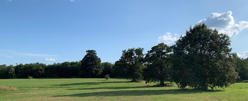 פנסיון The Lighthouse