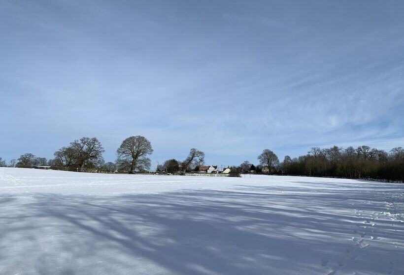 פנסיון The Lighthouse