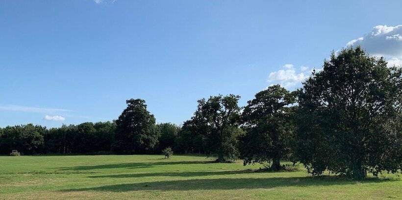 פנסיון The Lighthouse