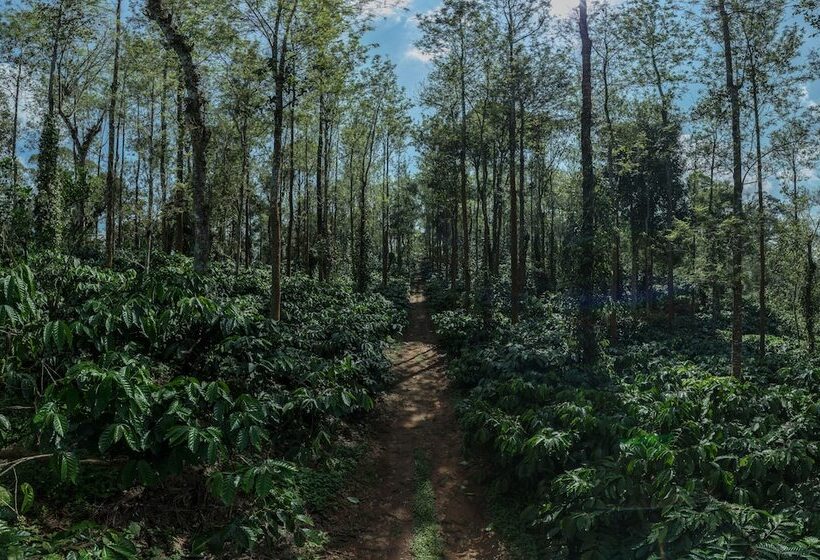 Курорт Club Mahindra Virajpet, Coorg