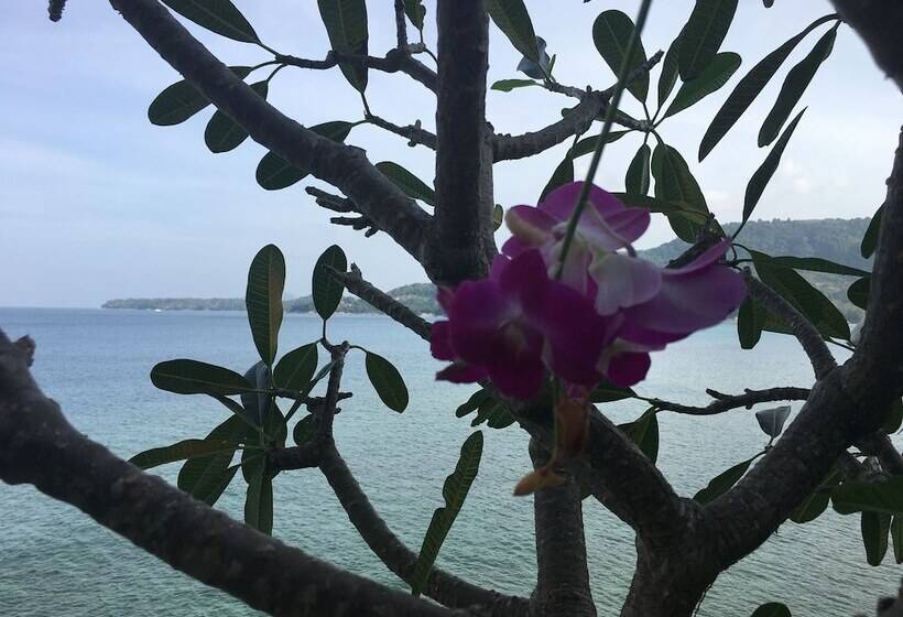 منتجع Ma Maison Boutique Hotel. In Phuket