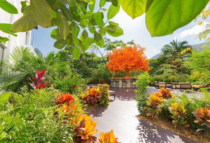 渡假胜地 Mousai Puerto Vallarta Adults Only