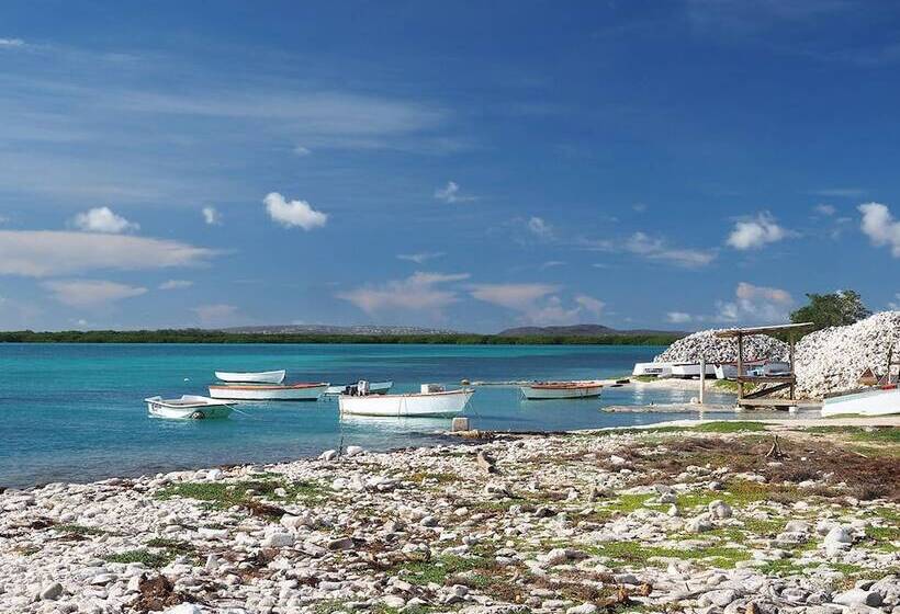 استراحتگاه Oasis Guesthouse, Boutique Style