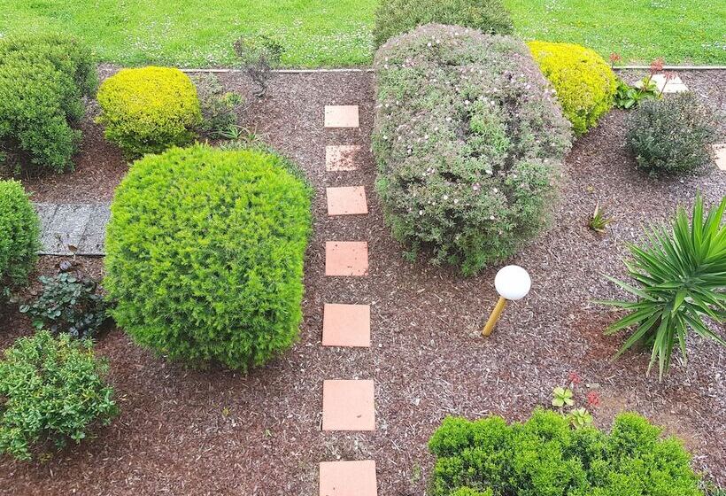 Seaview Motel & Apartments