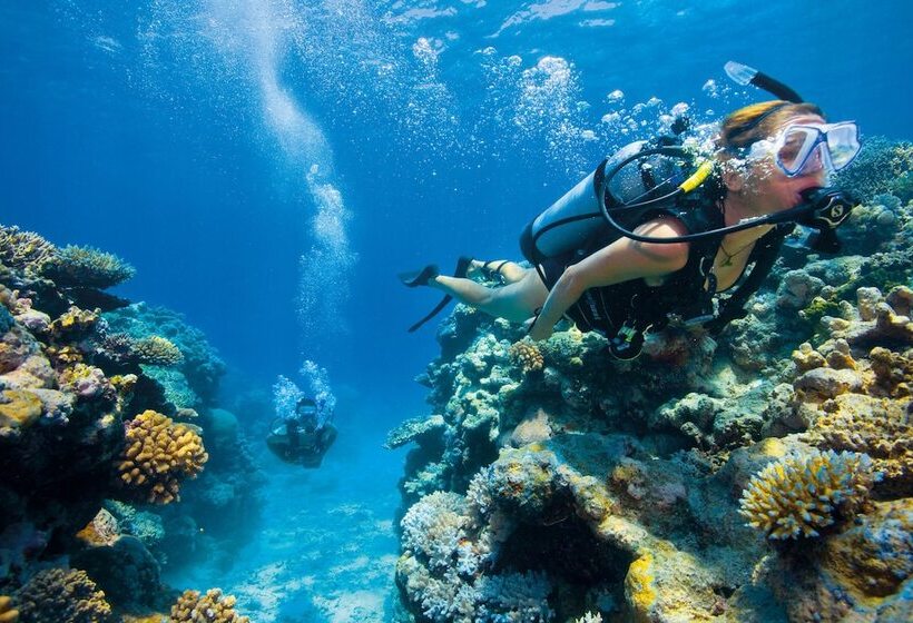 Silkari Reflections Of Port Douglas