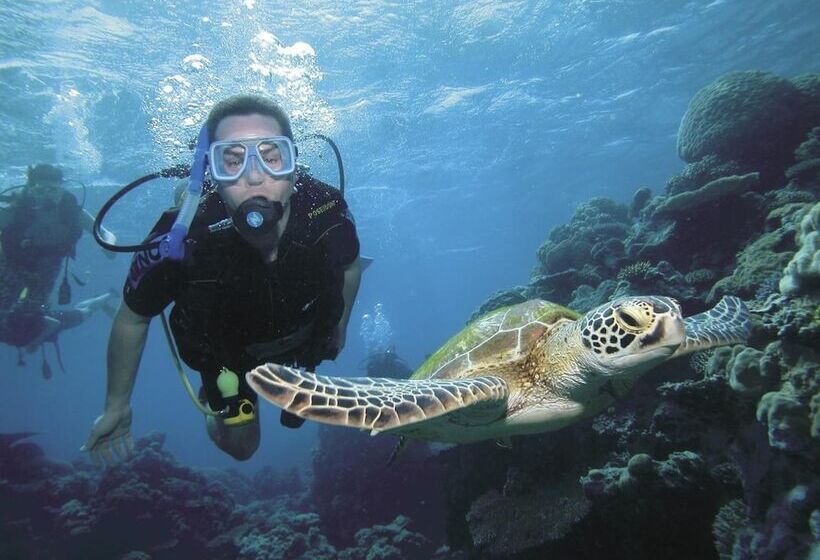 Silkari Reflections Of Port Douglas