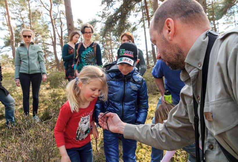 Stayokay Hostel Apeldoorn