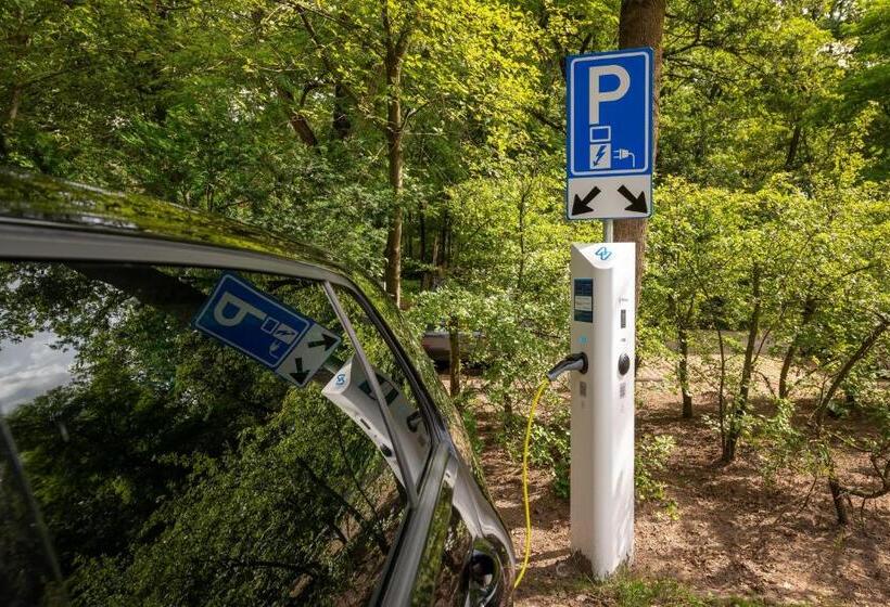 Stayokay Hostel Egmond