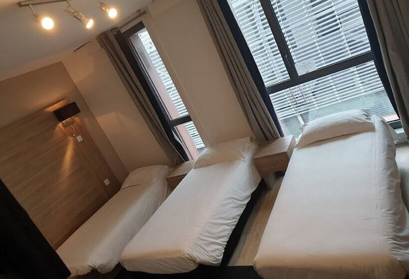 Twenty Business Flats Lille Grand Stade