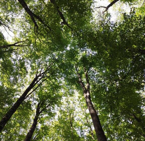 مبيت وإفطار A Casa Di Nonna