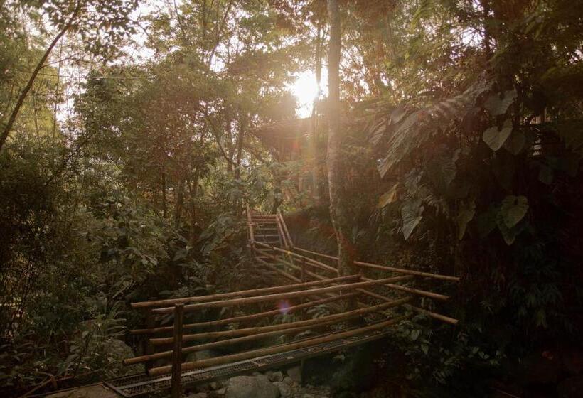 Ecohotel Tierra De Agua