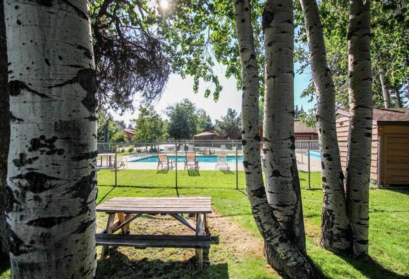 فندق Aspen Village 84