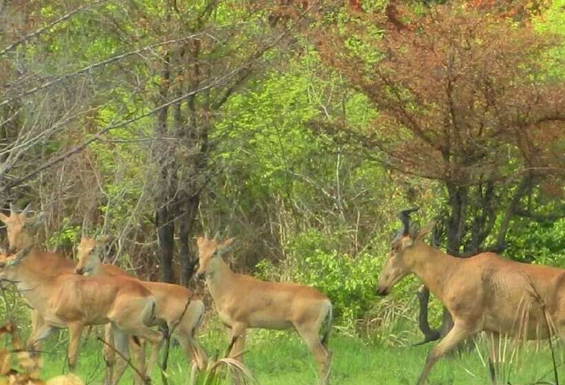 בית מלון כפרי Barry's Beach Resort