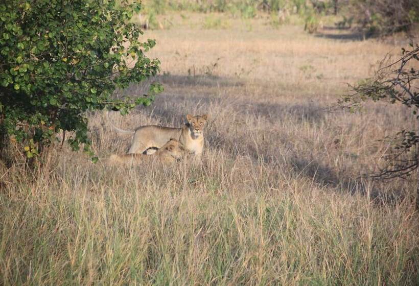 בית מלון כפרי Barry's Beach Resort
