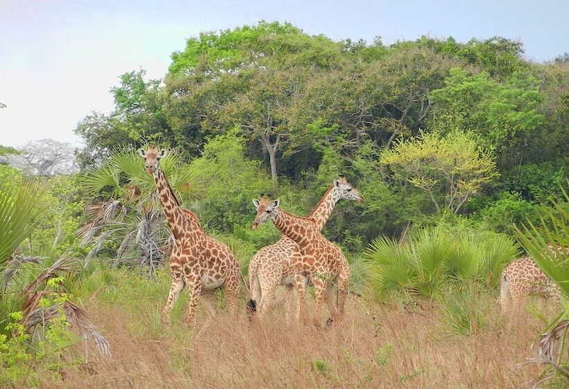 בית מלון כפרי Barry's Beach Resort